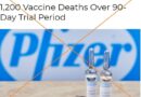 Ne, v USA nezemřelo za 90 dní 1200 lidí v důsledku očkování proti COVID-19